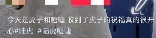 泰仓配资 陆虎夫妇现身机场，嘘嘘手遮肚子显孕相，39岁陆虎青春洋溢如男大