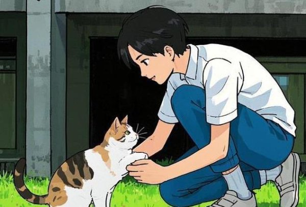天织股票配资 橘猫粘人三花傲娇，哪种猫咪最适合你家？