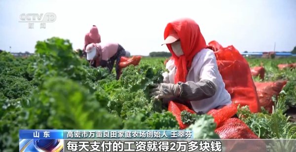 掌尚策 一杯奶茶如何重塑万亩良田？解码中国奶茶“地域密码”