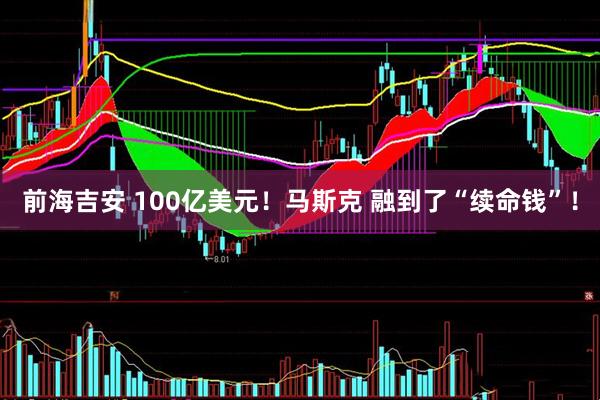 前海吉安 100亿美元！马斯克 融到了“续命钱”！
