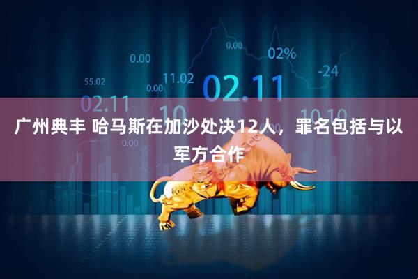 广州典丰 哈马斯在加沙处决12人，罪名包括与以军方合作