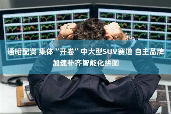 通昭配资 集体“开卷”中大型SUV赛道 自主品牌加速补齐智能化拼图